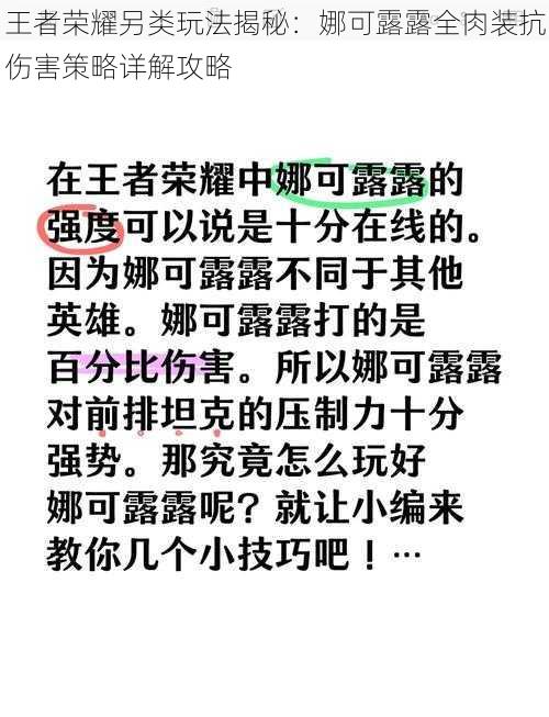 王者荣耀另类玩法揭秘：娜可露露全肉装抗伤害策略详解攻略