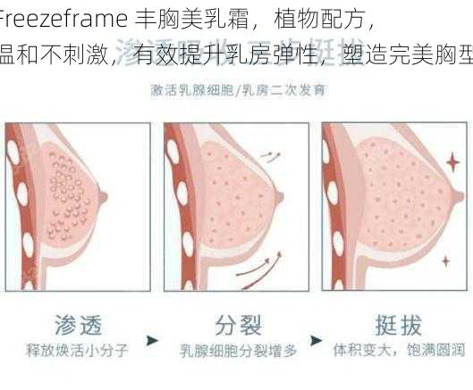 Freezeframe 丰胸美乳霜，植物配方，温和不刺激，有效提升乳房弹性，塑造完美胸型