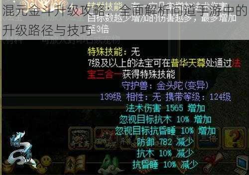 混元金斗升级攻略：全面解析问道手游中的升级路径与技巧