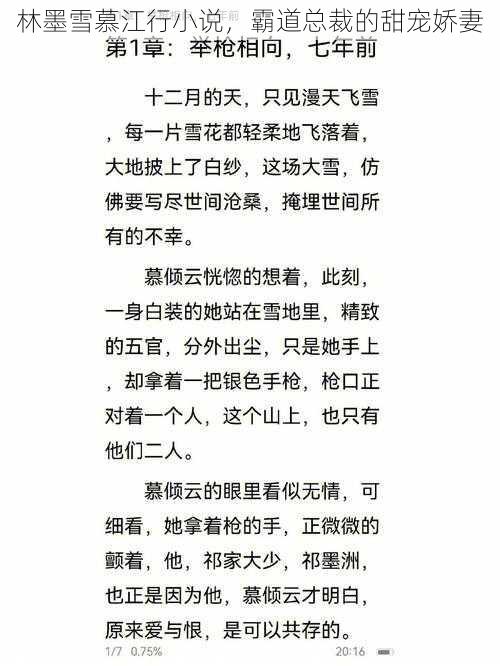 林墨雪慕江行小说，霸道总裁的甜宠娇妻