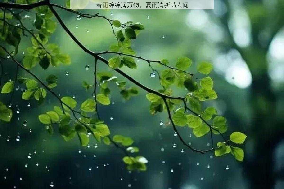 春雨绵绵润万物，夏雨清新满人间