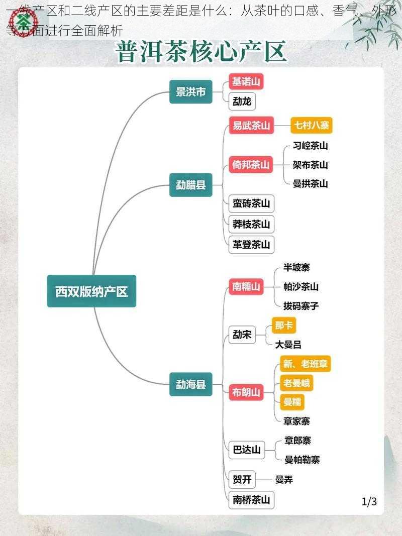 一线产区和二线产区的主要差距是什么：从茶叶的口感、香气、外形等方面进行全面解析