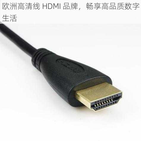 欧洲高清线 HDMI 品牌，畅享高品质数字生活