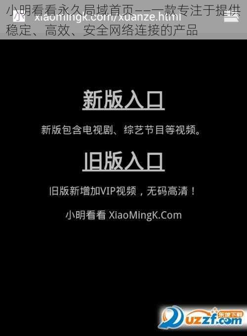 小明看看永久局域首页——一款专注于提供稳定、高效、安全网络连接的产品