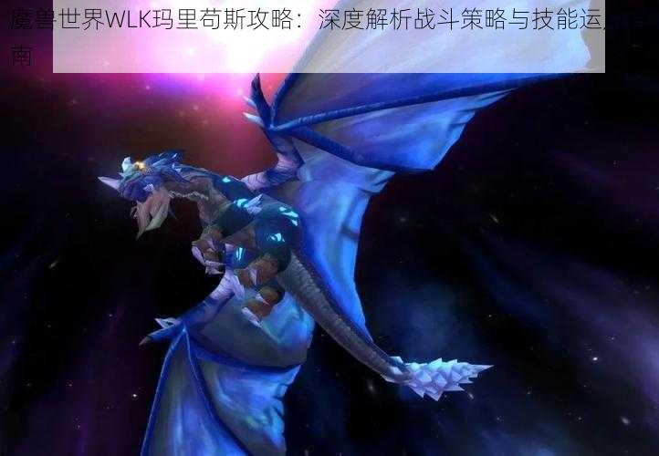 魔兽世界WLK玛里苟斯攻略：深度解析战斗策略与技能运用指南