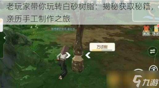 老玩家带你玩转白砂树脂：揭秘获取秘籍，亲历手工制作之旅