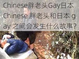 Chinese胖老头Gay日本 Chinese 胖老头和日本 gay 之间会发生什么故事？