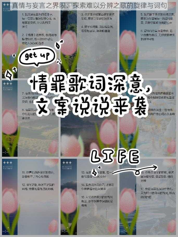 真情与妄言之界限：探索难以分辨之歌的旋律与词句