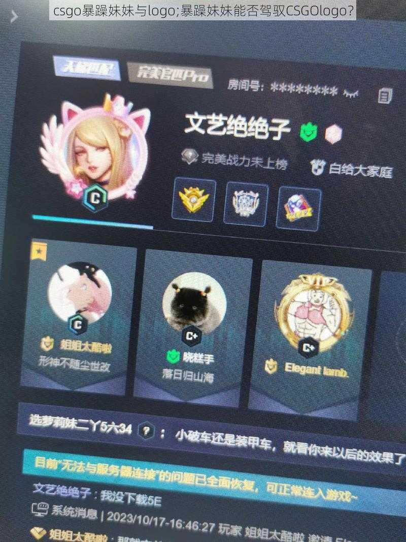 csgo暴躁妹妹与logo;暴躁妹妹能否驾驭CSGOlogo？