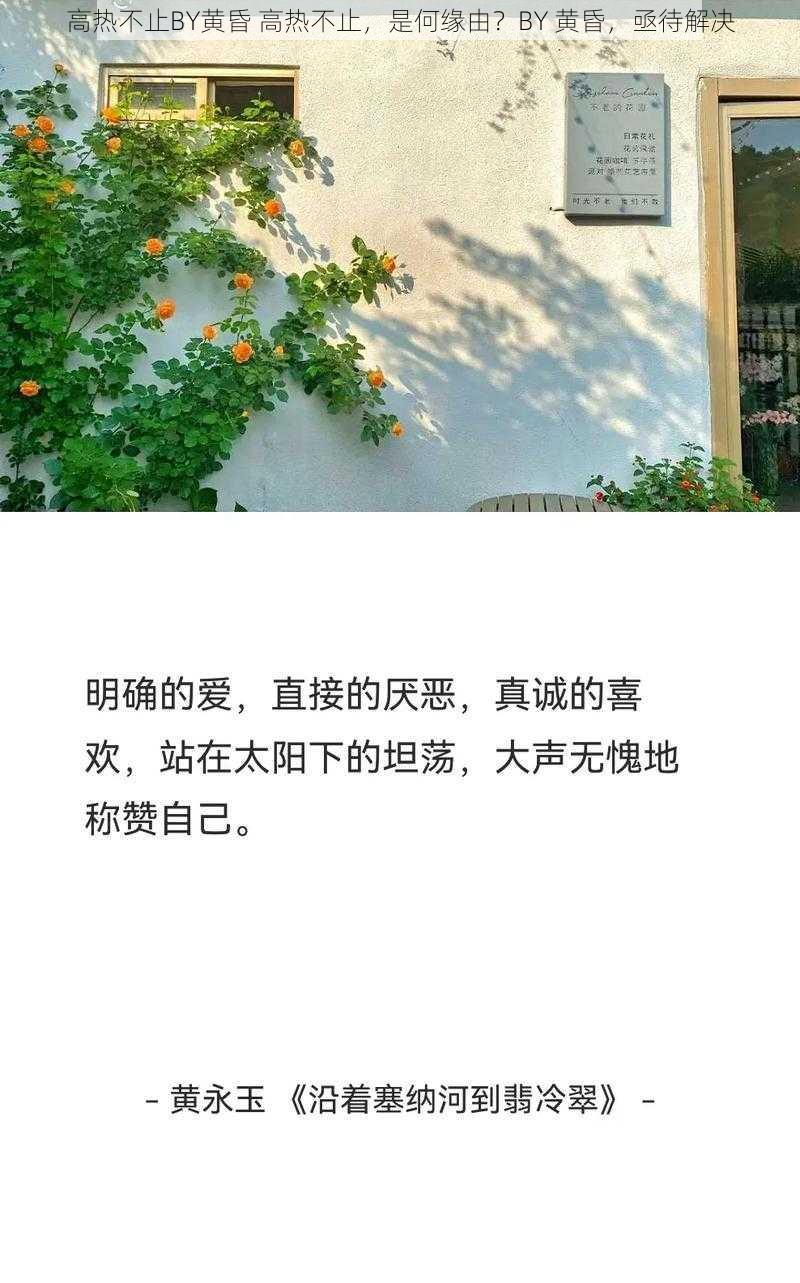 高热不止BY黄昏 高热不止，是何缘由？BY 黄昏，亟待解决