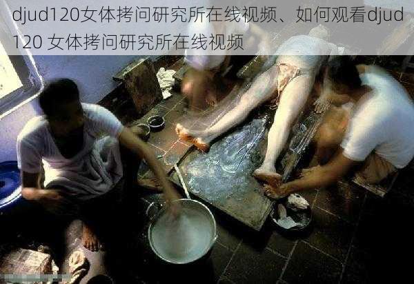 djud120女体拷问研究所在线视频、如何观看djud120 女体拷问研究所在线视频