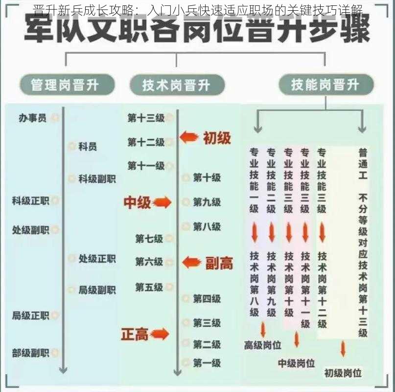 晋升新兵成长攻略：入门小兵快速适应职场的关键技巧详解