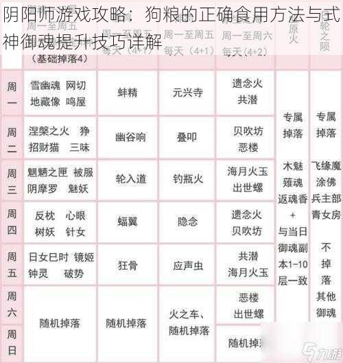 阴阳师游戏攻略：狗粮的正确食用方法与式神御魂提升技巧详解