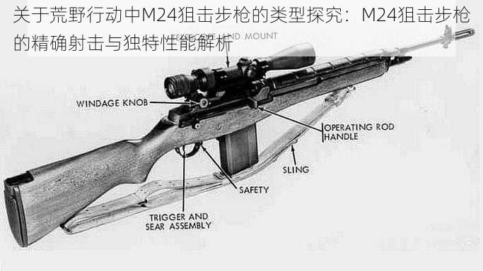 关于荒野行动中M24狙击步枪的类型探究：M24狙击步枪的精确射击与独特性能解析