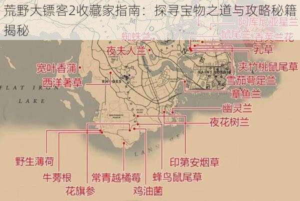 荒野大镖客2收藏家指南：探寻宝物之道与攻略秘籍揭秘