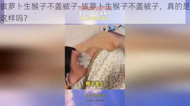 拔萝卜生猴子不盖被子-拔萝卜生猴子不盖被子，真的是这样吗？