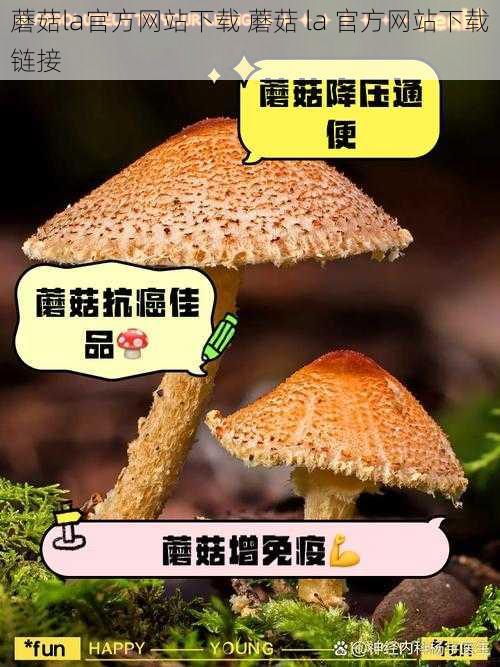 蘑菇la官方网站下载 蘑菇 la 官方网站下载链接