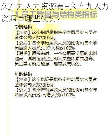 久产九人力资源有—久产九人力资源有哪些优势？