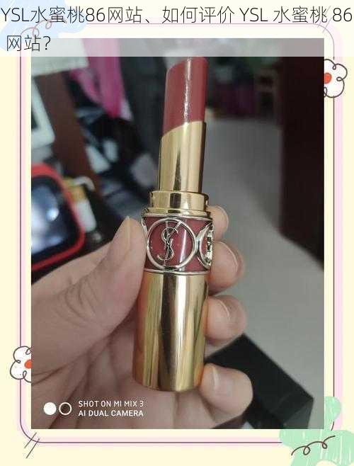 YSL水蜜桃86网站、如何评价 YSL 水蜜桃 86 网站？