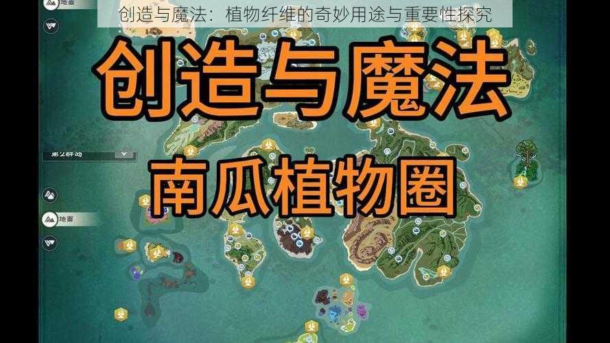 创造与魔法：植物纤维的奇妙用途与重要性探究