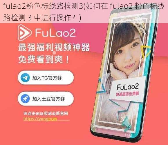 fulao2粉色标线路检测3(如何在 fulao2 粉色标线路检测 3 中进行操作？)