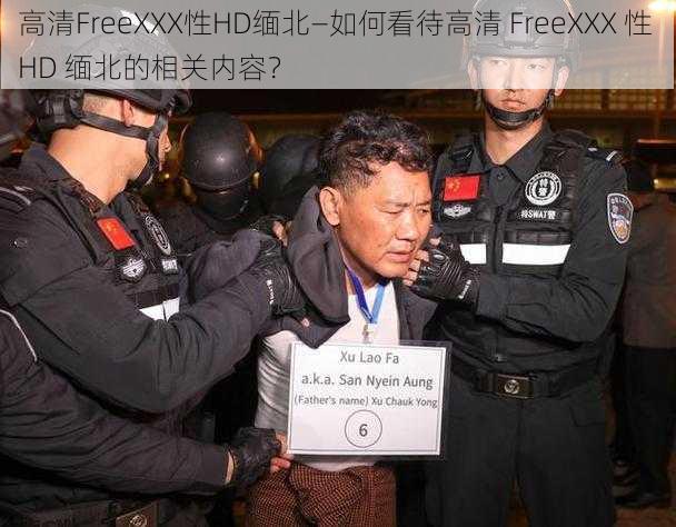 高清FreeXXX性HD缅北—如何看待高清 FreeXXX 性 HD 缅北的相关内容？