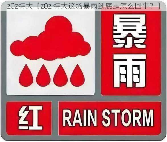 z0z特大【z0z 特大这场暴雨到底是怎么回事？】