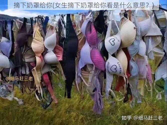 摘下奶罩给你(女生摘下奶罩给你看是什么意思？)