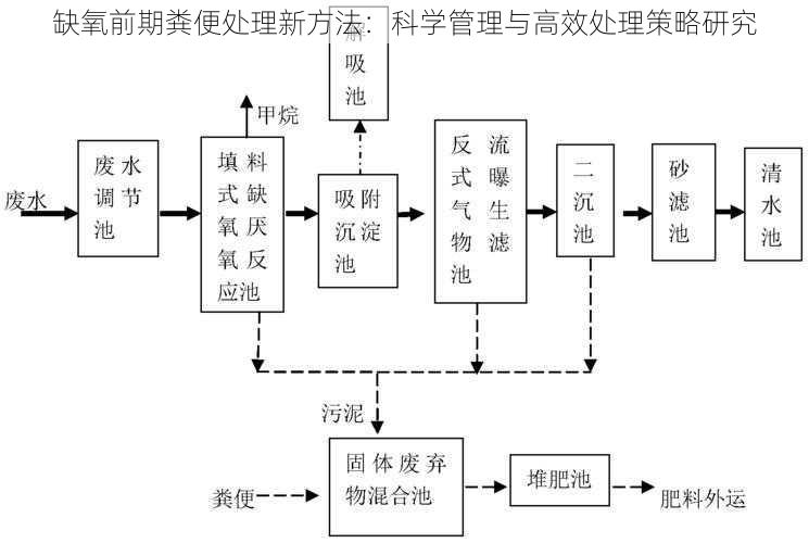 缺氧前期粪便处理新方法：科学管理与高效处理策略研究