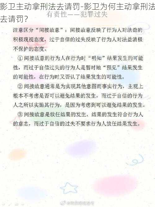 影卫主动拿刑法去请罚-影卫为何主动拿刑法去请罚？