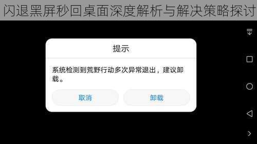 闪退黑屏秒回桌面深度解析与解决策略探讨