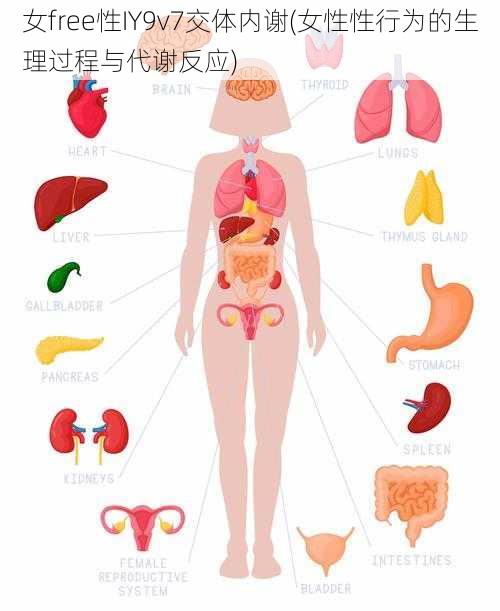 女free性IY9v7交体内谢(女性性行为的生理过程与代谢反应)