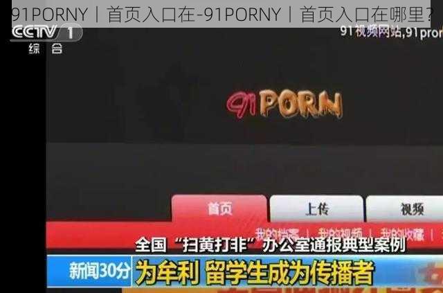 91PORNY丨首页入口在-91PORNY丨首页入口在哪里？