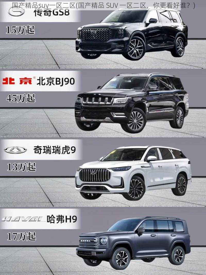 国产精品suv一区二区(国产精品 SUV 一区二区，你更看好谁？)