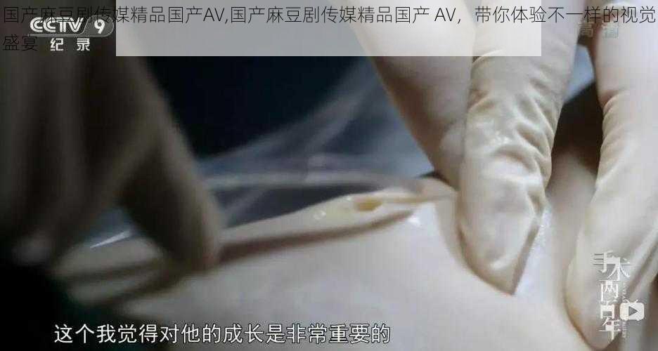 国产麻豆剧传媒精品国产AV,国产麻豆剧传媒精品国产 AV，带你体验不一样的视觉盛宴