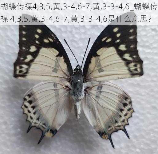 蝴蝶传禖4,3,5,黄,3-4,6-7,黄,3-3-4,6_蝴蝶传禖 4,3,5,黄,3-4,6-7,黄,3-3-4,6是什么意思？