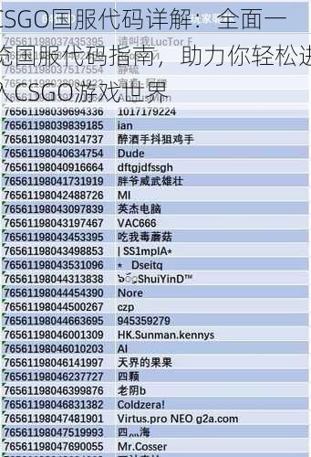 CSGO国服代码详解：全面一览国服代码指南，助力你轻松进入CSGO游戏世界