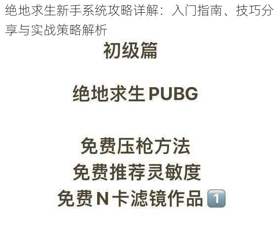 绝地求生新手系统攻略详解：入门指南、技巧分享与实战策略解析