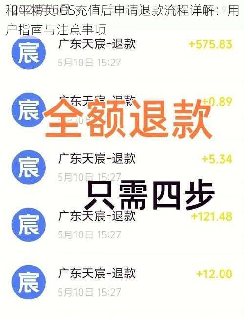 和平精英iOS充值后申请退款流程详解：用户指南与注意事项