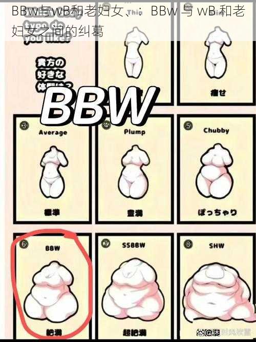 BBw与wB和老妇女、：BBw 与 wB 和老妇女之间的纠葛