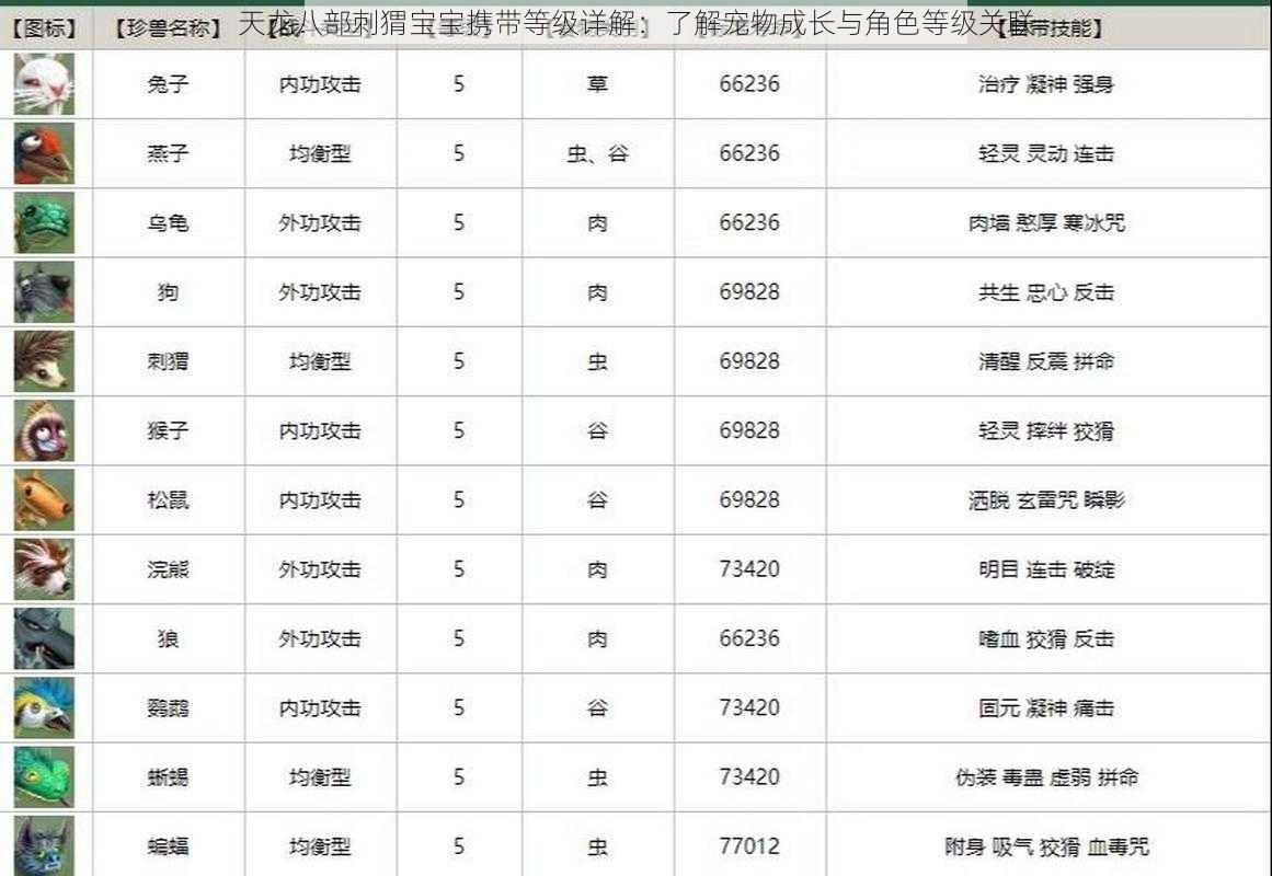 天龙八部刺猬宝宝携带等级详解：了解宠物成长与角色等级关联