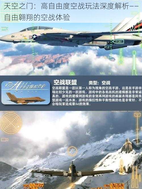 天空之门：高自由度空战玩法深度解析——自由翱翔的空战体验