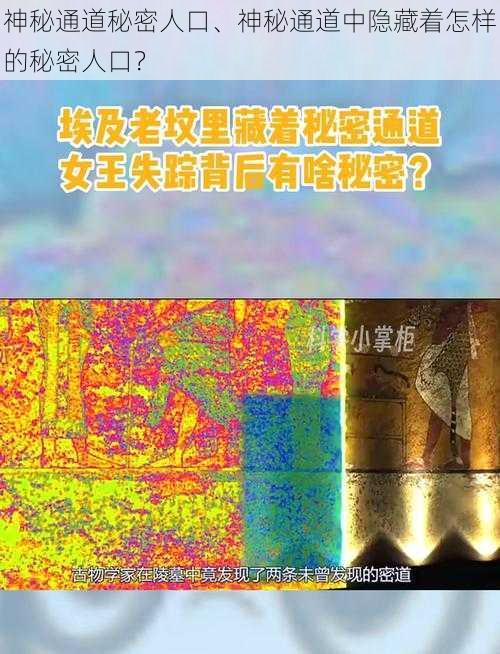 神秘通道秘密人口、神秘通道中隐藏着怎样的秘密人口？