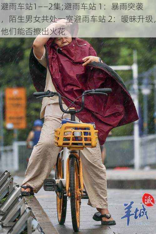 避雨车站1――2集;避雨车站 1：暴雨突袭，陌生男女共处一室避雨车站 2：暧昧升级，他们能否擦出火花