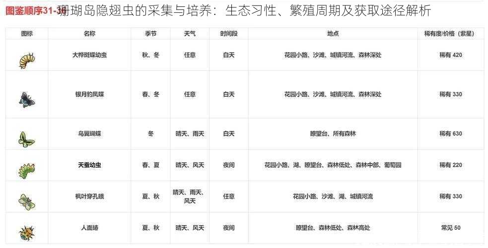 珊瑚岛隐翅虫的采集与培养：生态习性、繁殖周期及获取途径解析