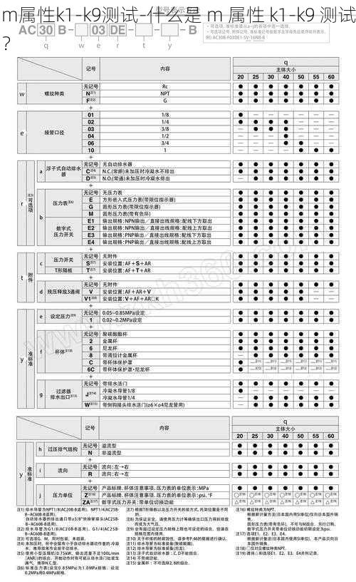 m属性k1-k9测试-什么是 m 属性 k1-k9 测试？