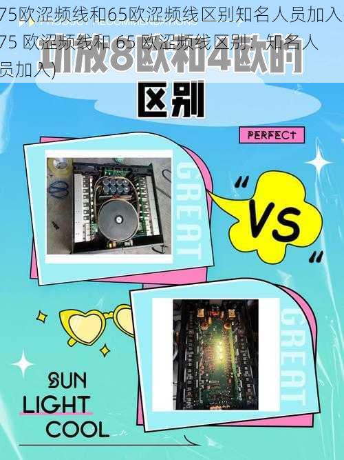 75欧涩频线和65欧涩频线区别知名人员加入(75 欧涩频线和 65 欧涩频线区别：知名人员加入)