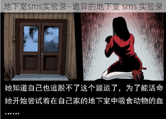 地下室sms实验录—诡异的地下室 sms 实验录