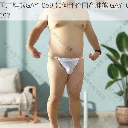 国产胖熊GAY1069,如何评价国产胖熊 GAY1069？