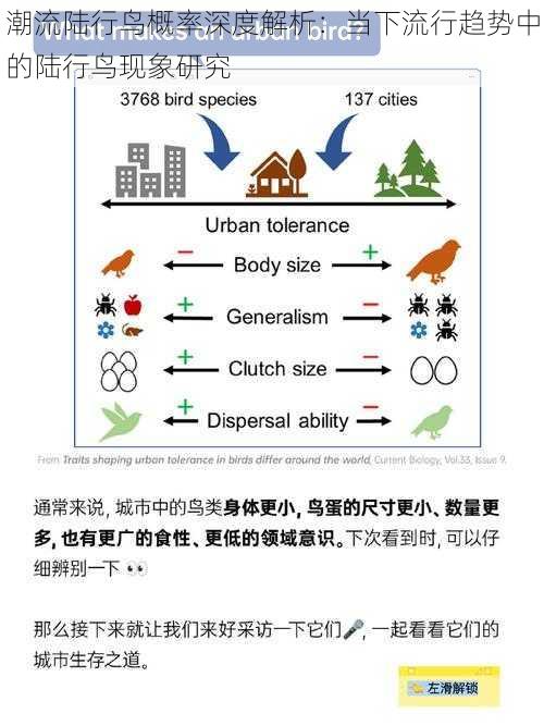 潮流陆行鸟概率深度解析：当下流行趋势中的陆行鸟现象研究